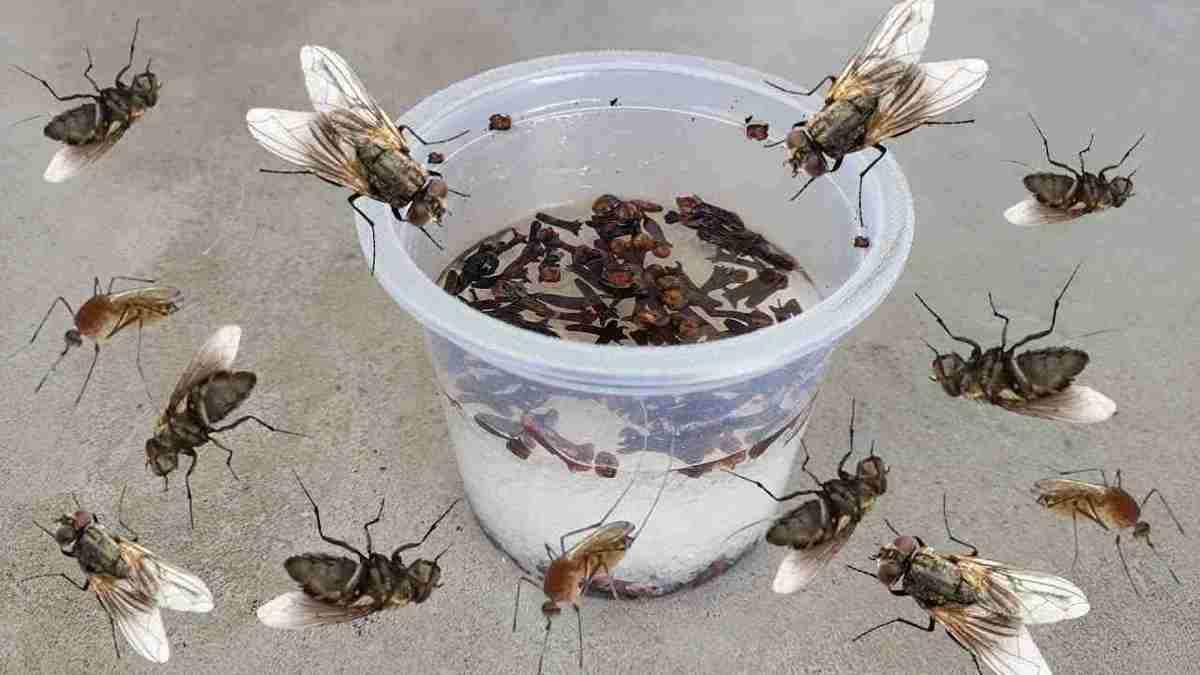 Elimina mosche, zanzare e scarafaggi in meno di 10 minuti