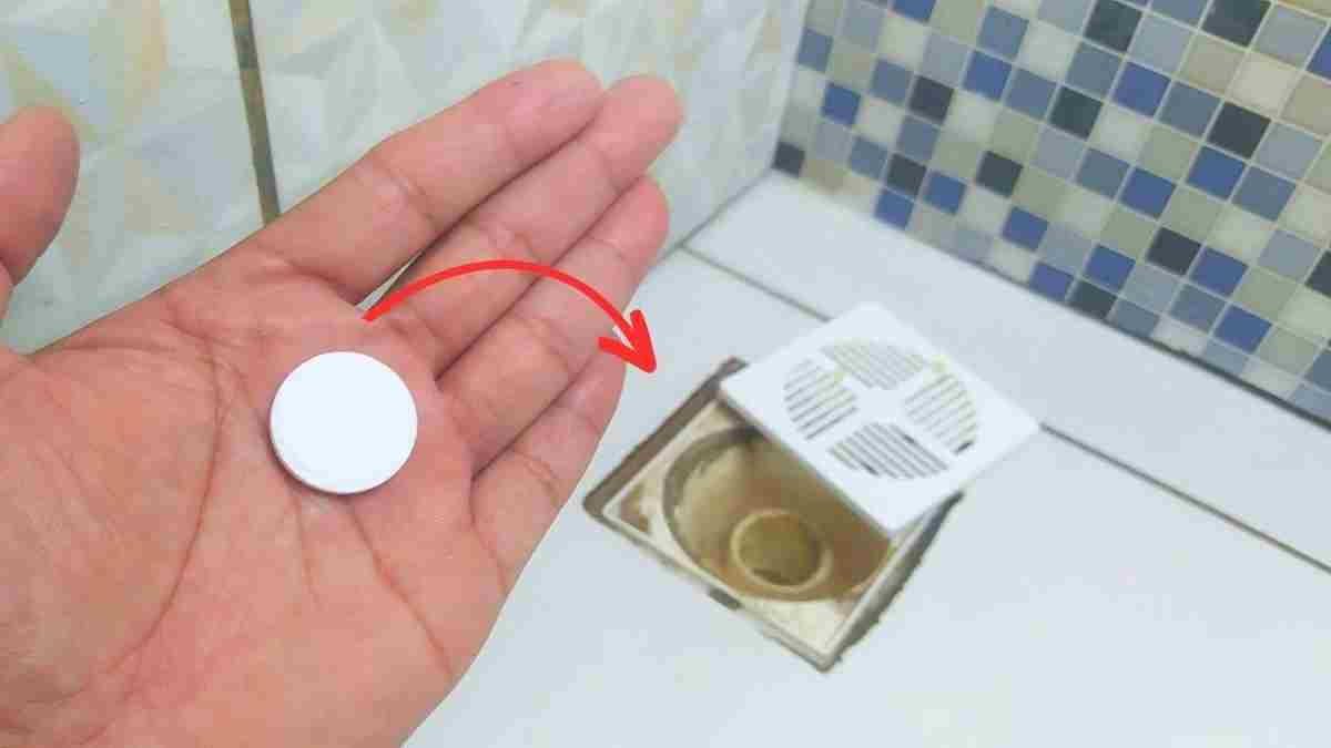 Mettilo nel tuo bagno e lasciati sorprendere: puoi dire addio ai cattivi odori.