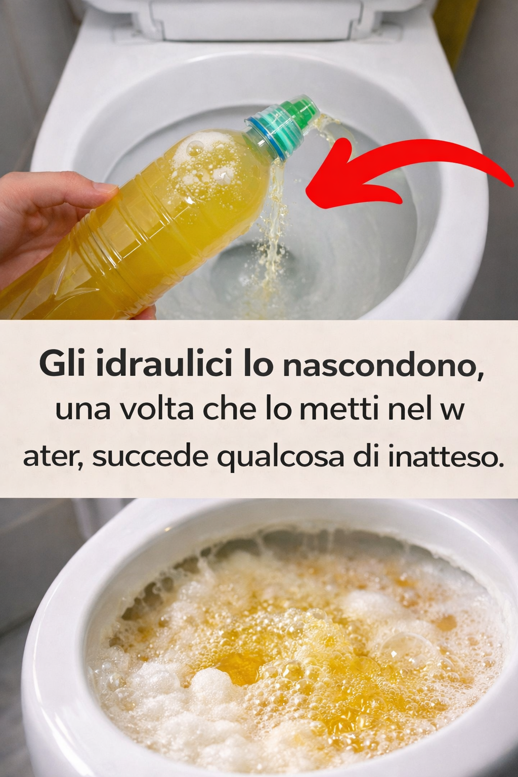 Gli idraulici lo nascondono, una volta che lo metti nel water, succede qualcosa di inatteso.