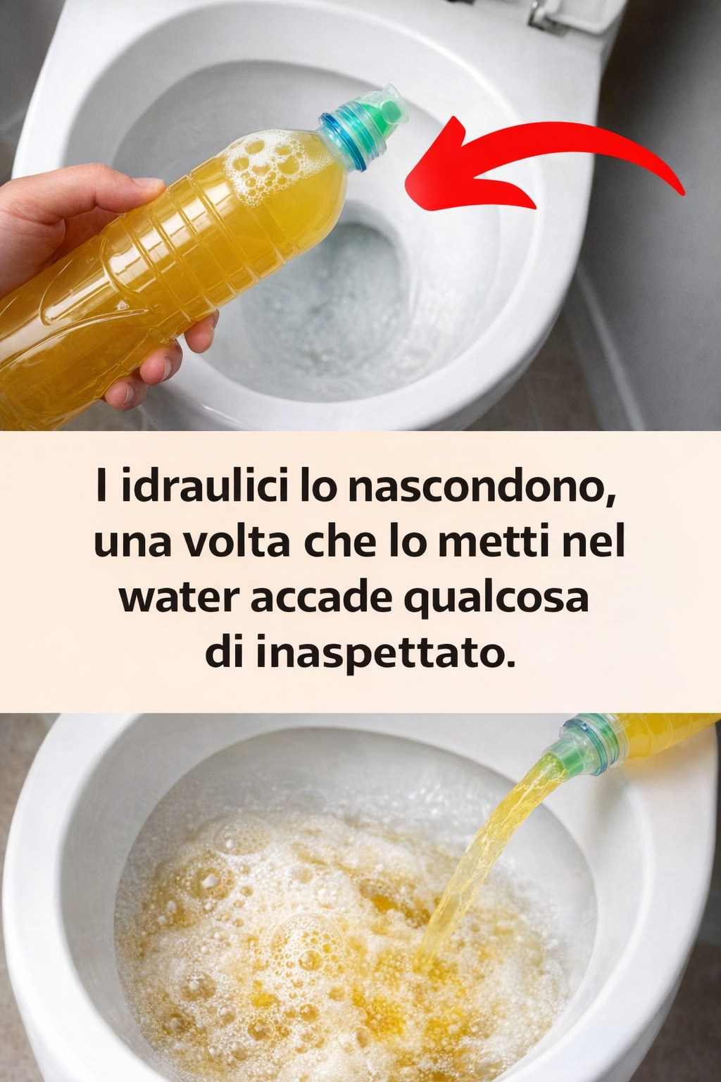I idraulici lo nascondono, una volta che lo metti nel water accade qualcosa di inaspettato.