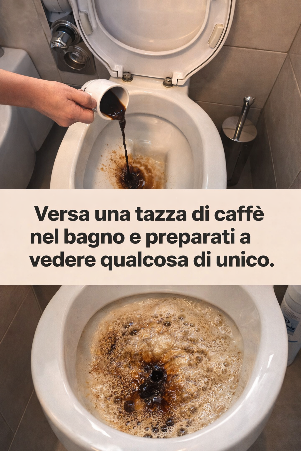 Versa una tazza di caffè nel bagno e preparati a vedere qualcosa di unico.