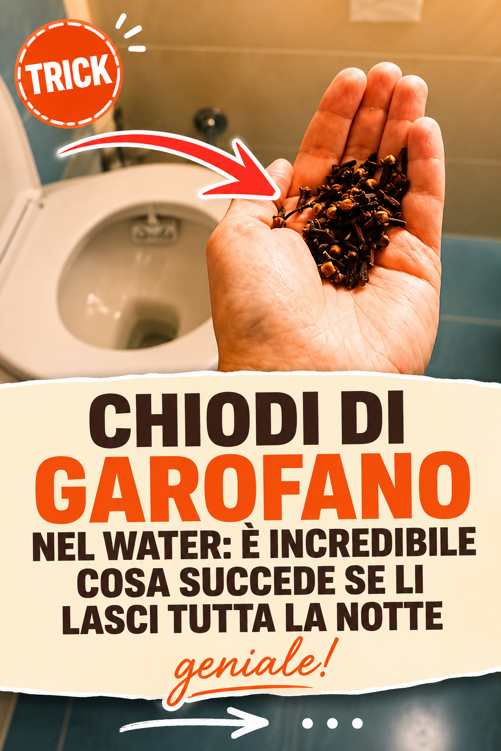 Chiodi di garofano nel water: è incredibile cosa succede se li lasci tutta la notte