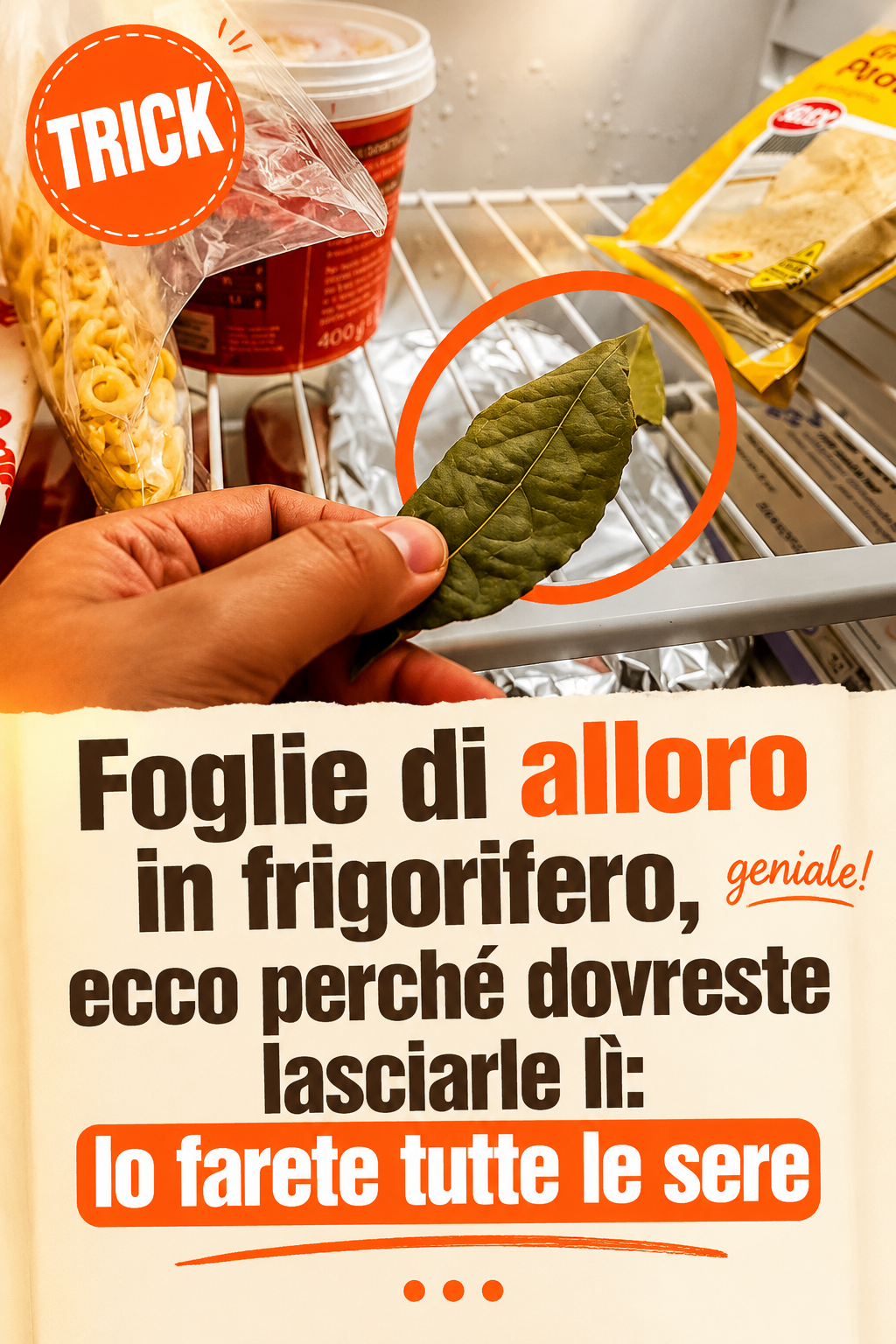 Foglie di alloro in frigorifero, ecco perché dovreste lasciarle lì: lo farete tutte le sere