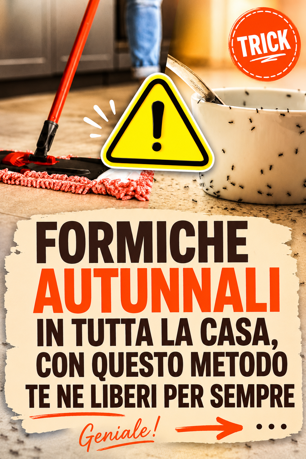 Formiche autunnali in tutta la casa, con questo metodo te ne liberi per sempre