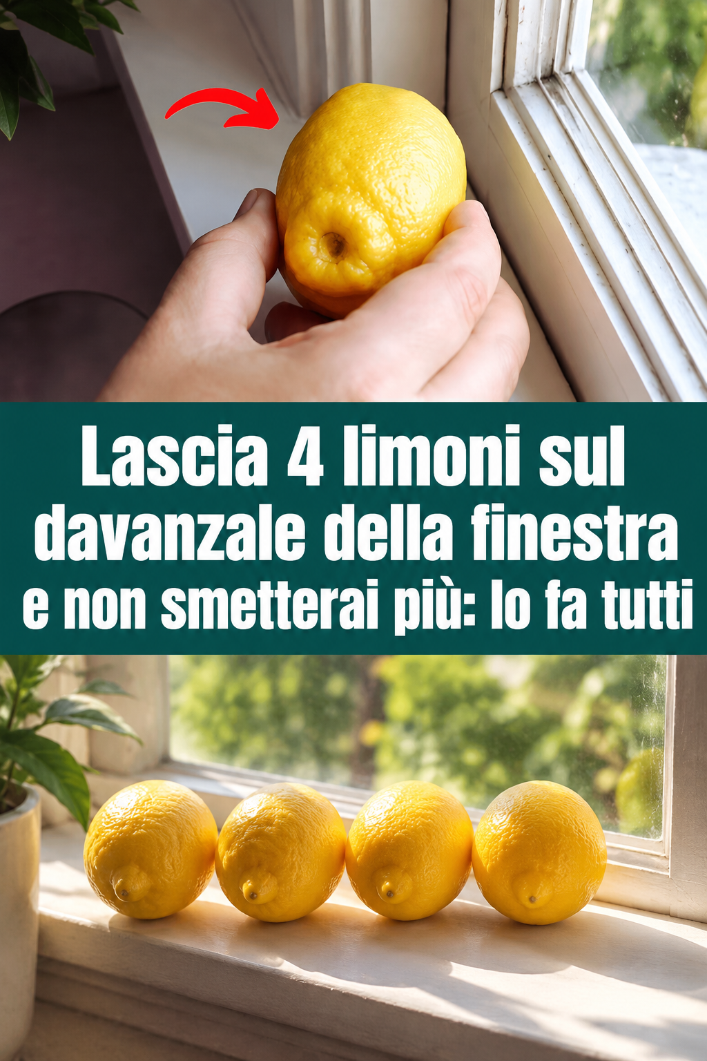 Lascia 4 limoni sul davanzale della finestra e non smetterai più: lo fa tutti