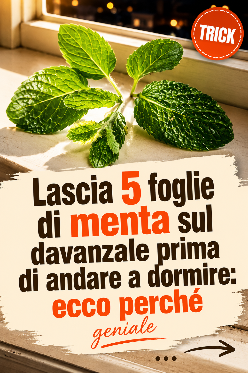 Lascia 5 foglie di menta sul davanzale prima di andare a dormire: ecco perché