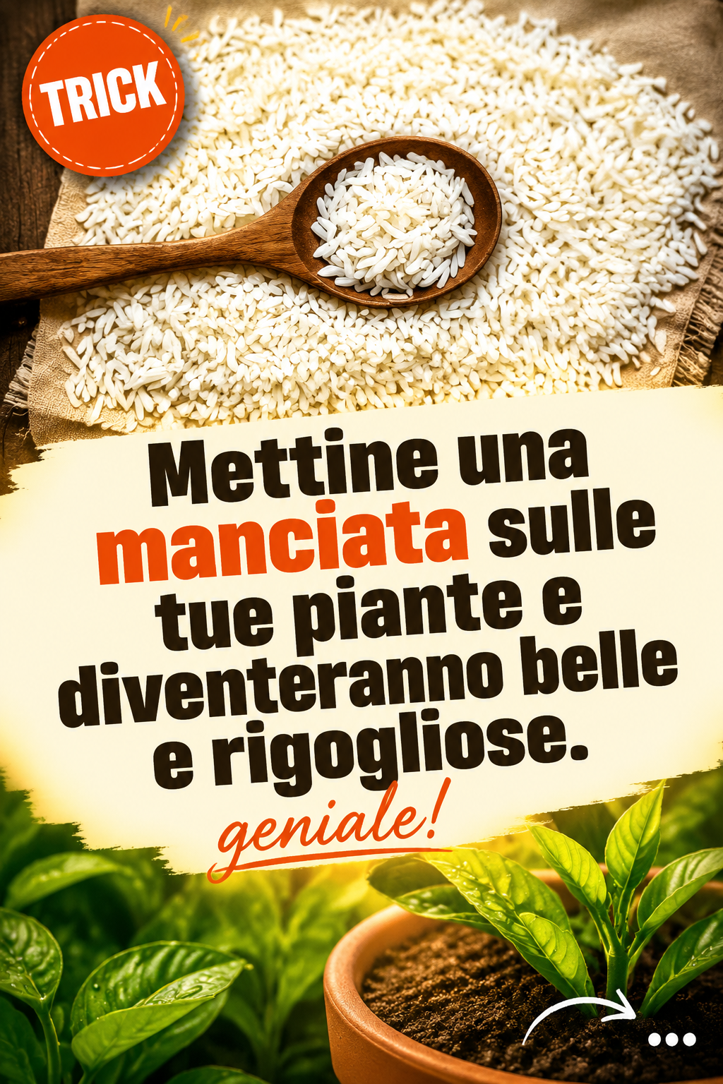Mettine una manciata sulle tue piante e diventeranno belle e rigogliose.