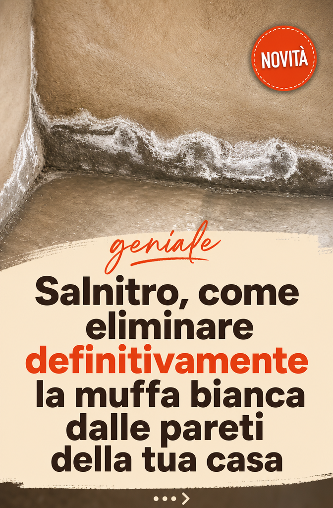 Salnitro, come eliminare definitivamente la muffa bianca dalle pareti della tua casa