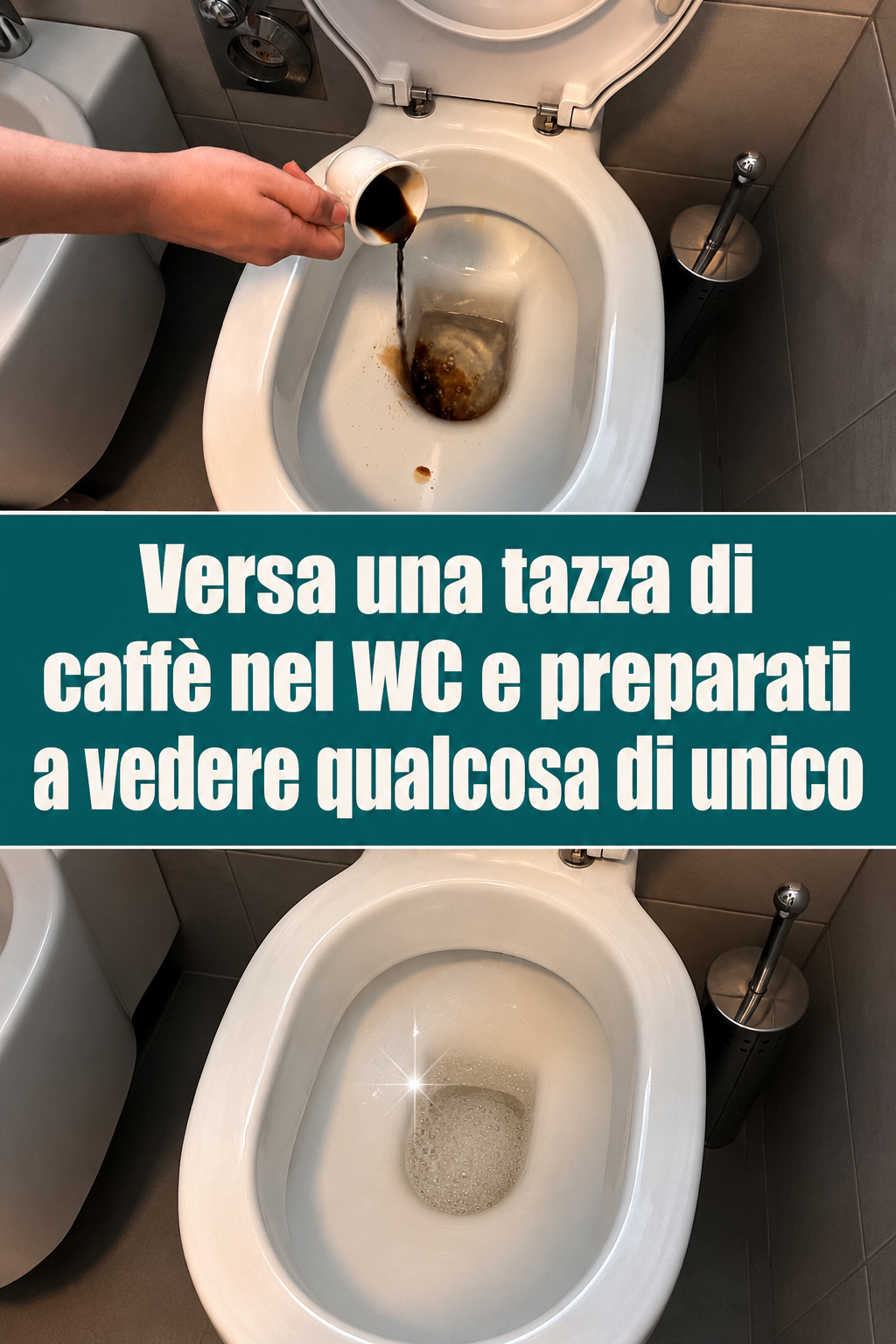 Versa una tazza di caffè nel WC e preparati a vedere qualcosa di unico