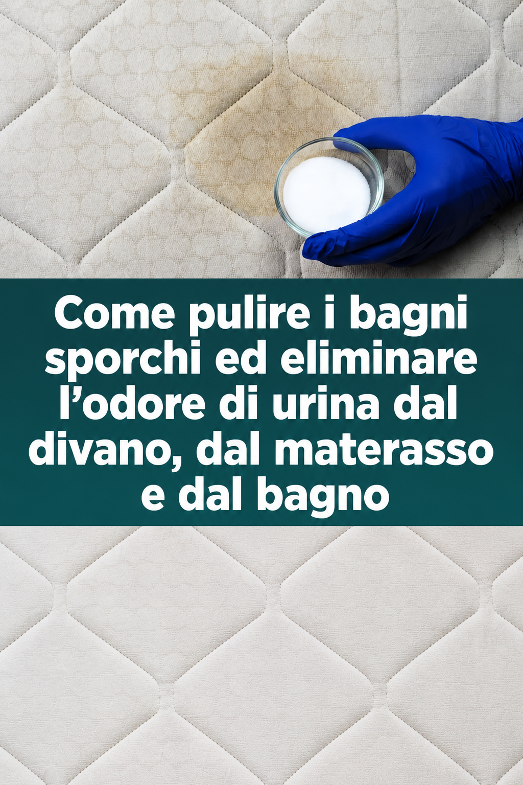Come pulire i bagni sporchi ed eliminare l’odore di urina dal divano, dal materasso e dal bagno