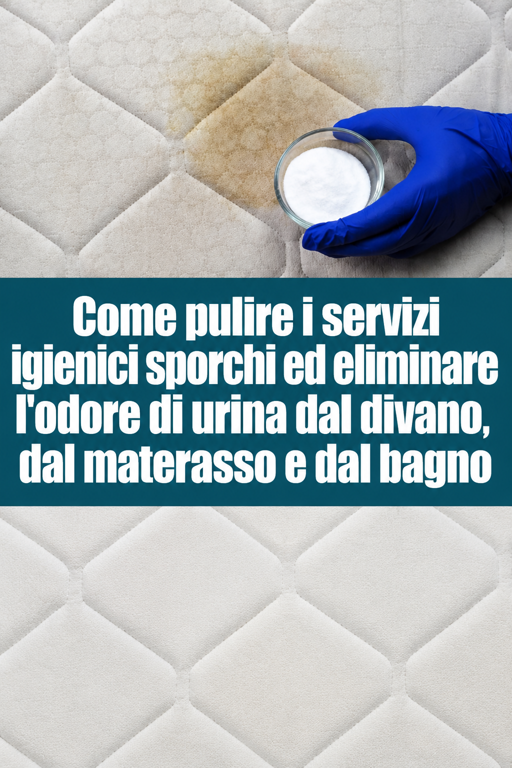 Come pulire i servizi igienici sporchi ed eliminare l’odore di urina dal divano, dal materasso e dal bagno