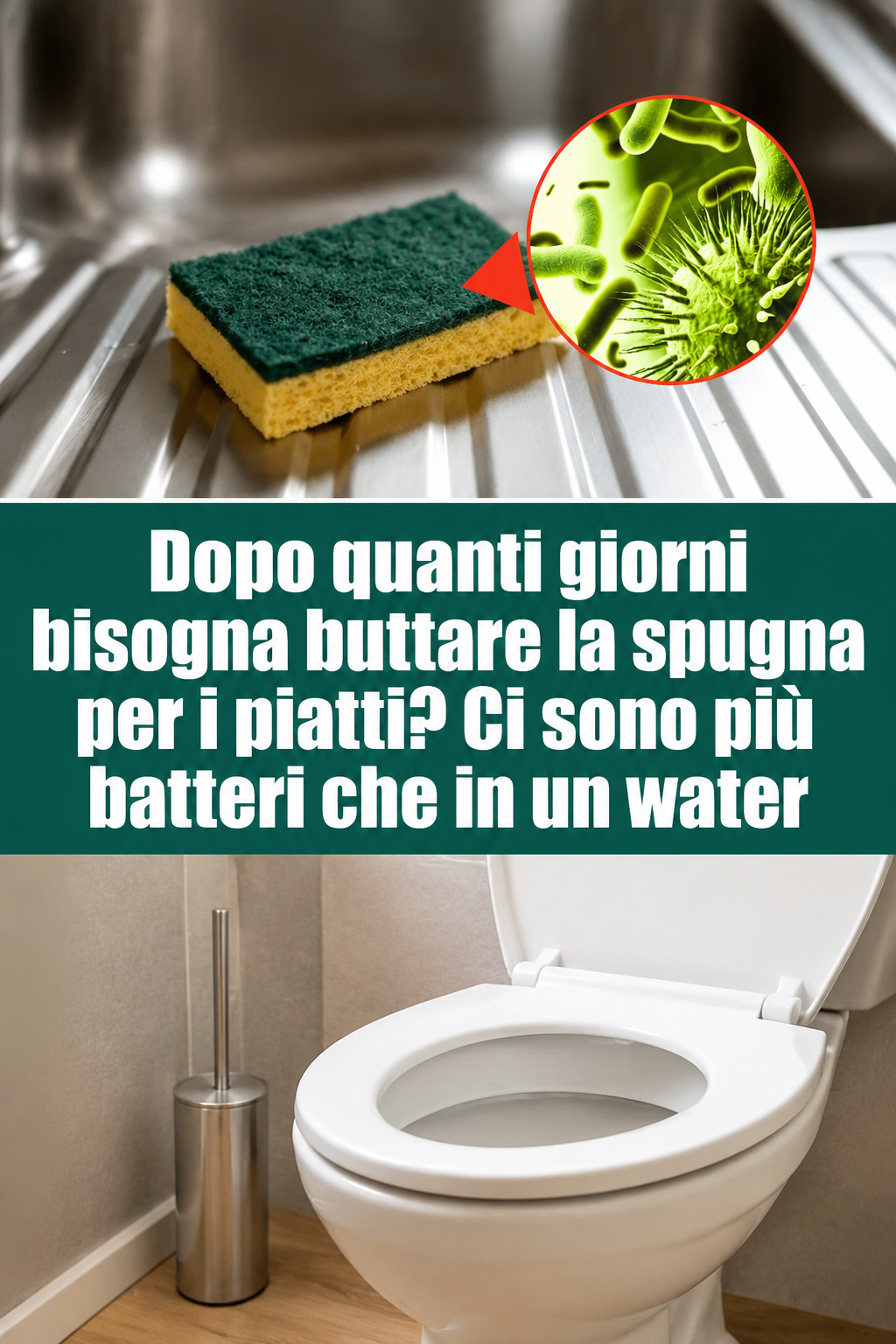 Dopo quanti giorni bisogna buttare la spugna per i piatti? Ci sono più batteri che in un water