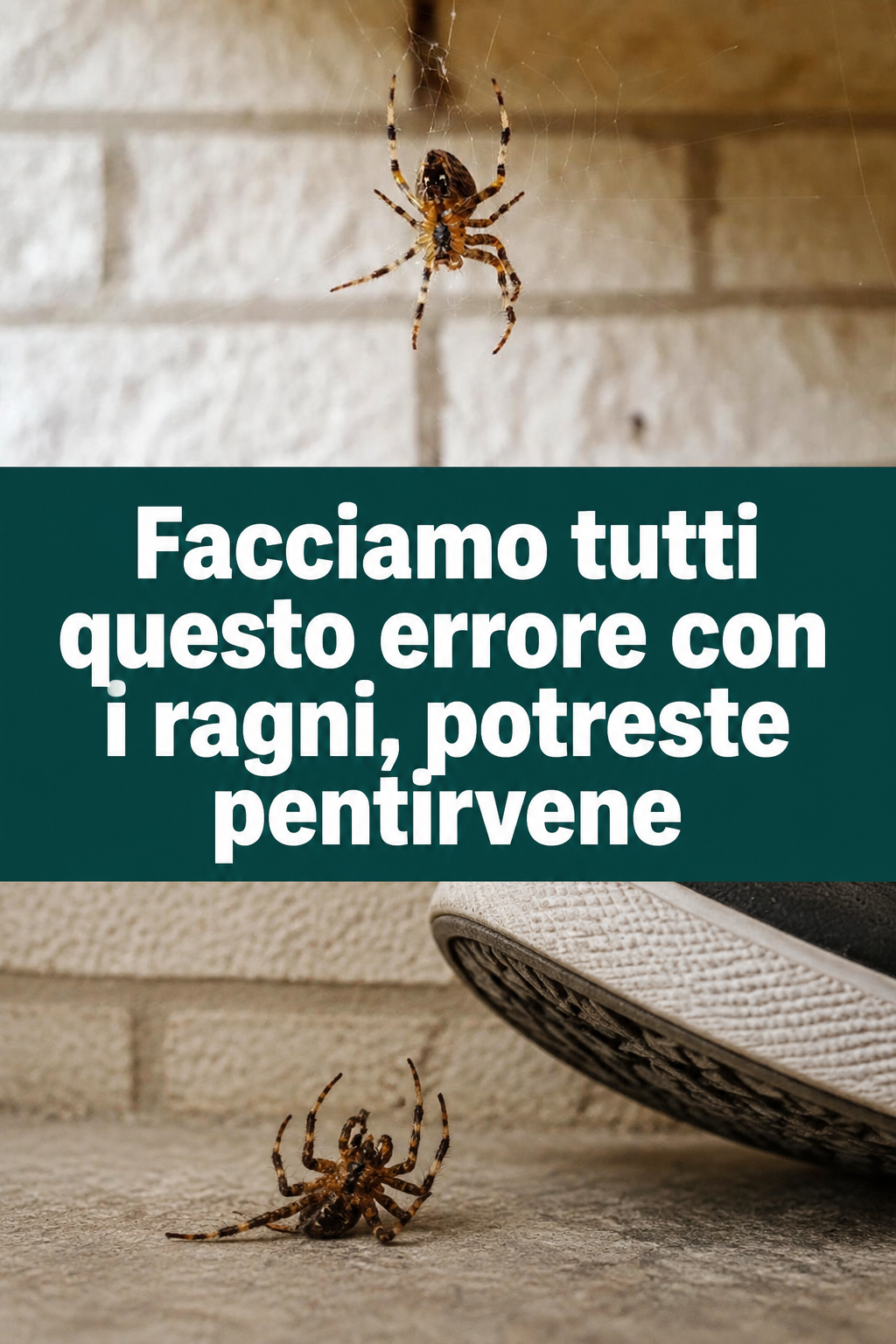 Facciamo tutti questo errore con i ragni, potreste pentirvene