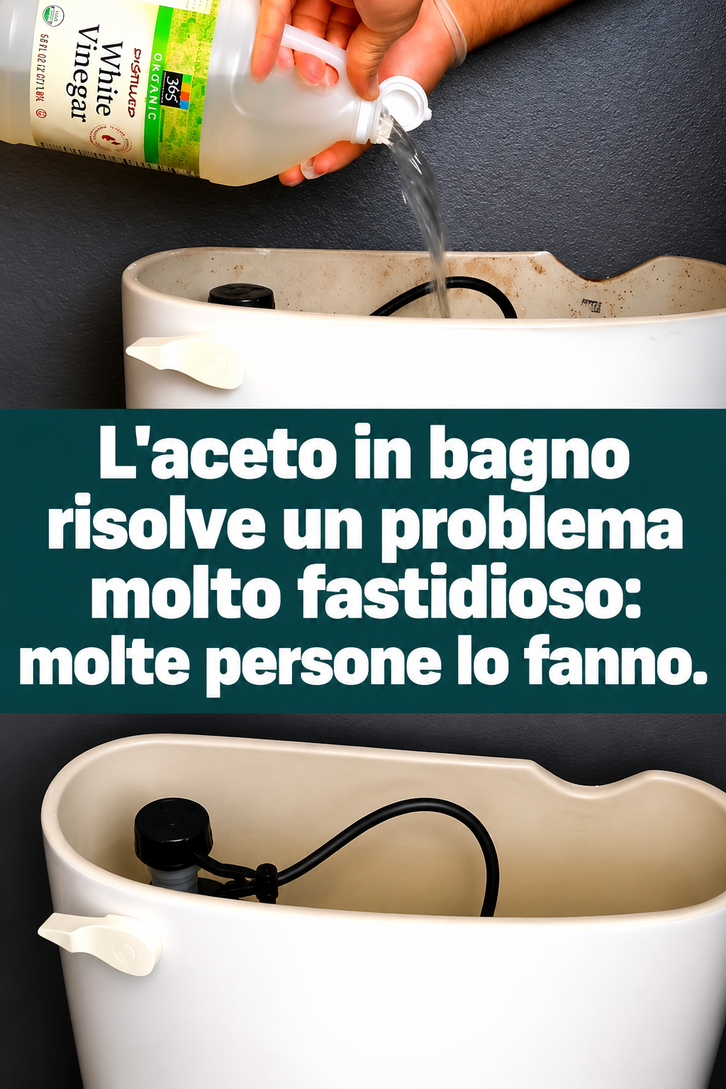 L’aceto in bagno risolve un problema molto fastidioso: molte persone lo fanno.
