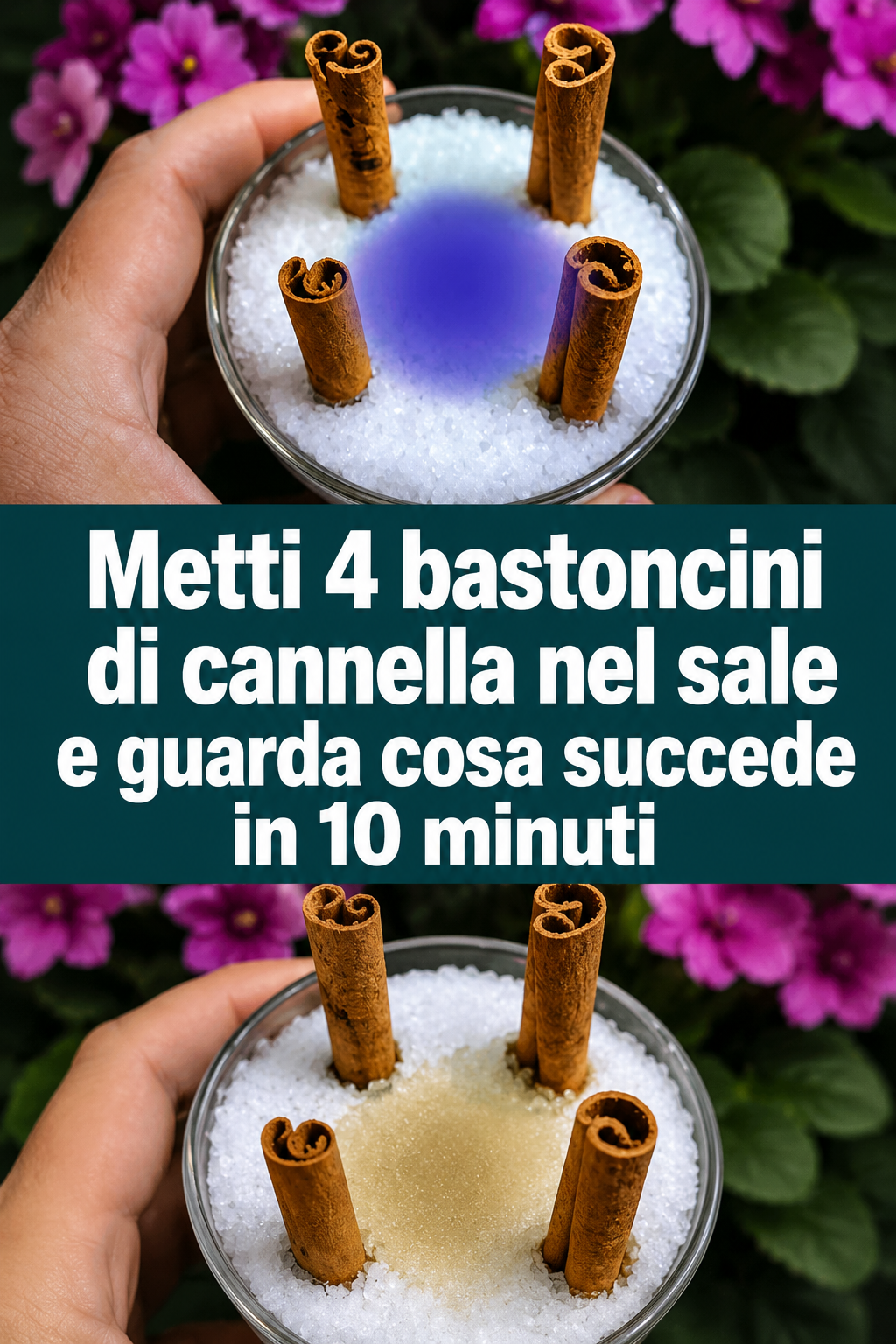 Metti 4 bastoncini di cannella nel sale e guarda cosa succede in 10 minuti