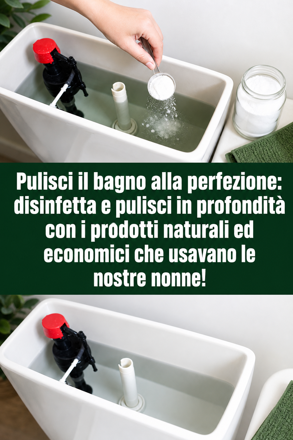 Pulisci il bagno alla perfezione: disinfetta e pulisci in profondità con i prodotti naturali ed economici che usavano le nostre nonne!
