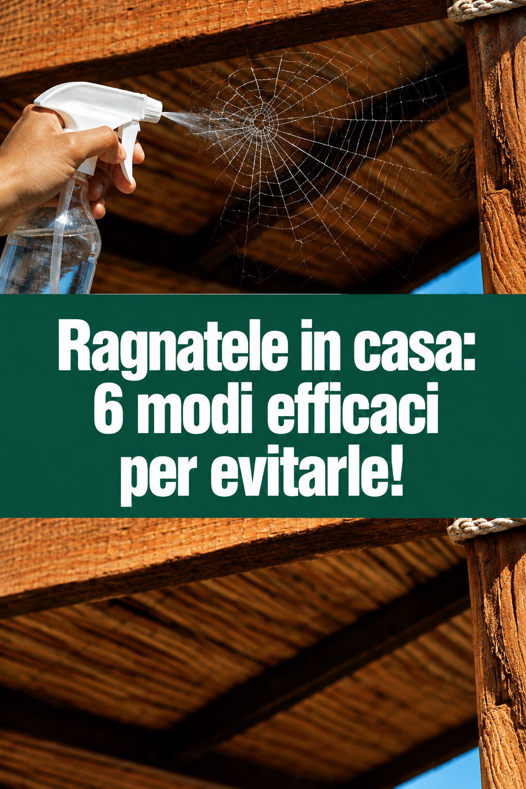 Ragnatele in casa: 6 modi efficaci per evitarle!