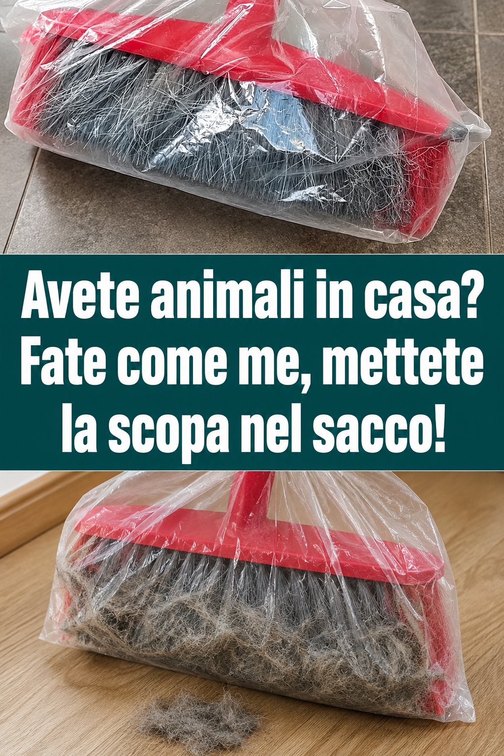 Avete animali in casa? Fate come me, mettete la scopa nel sacco!