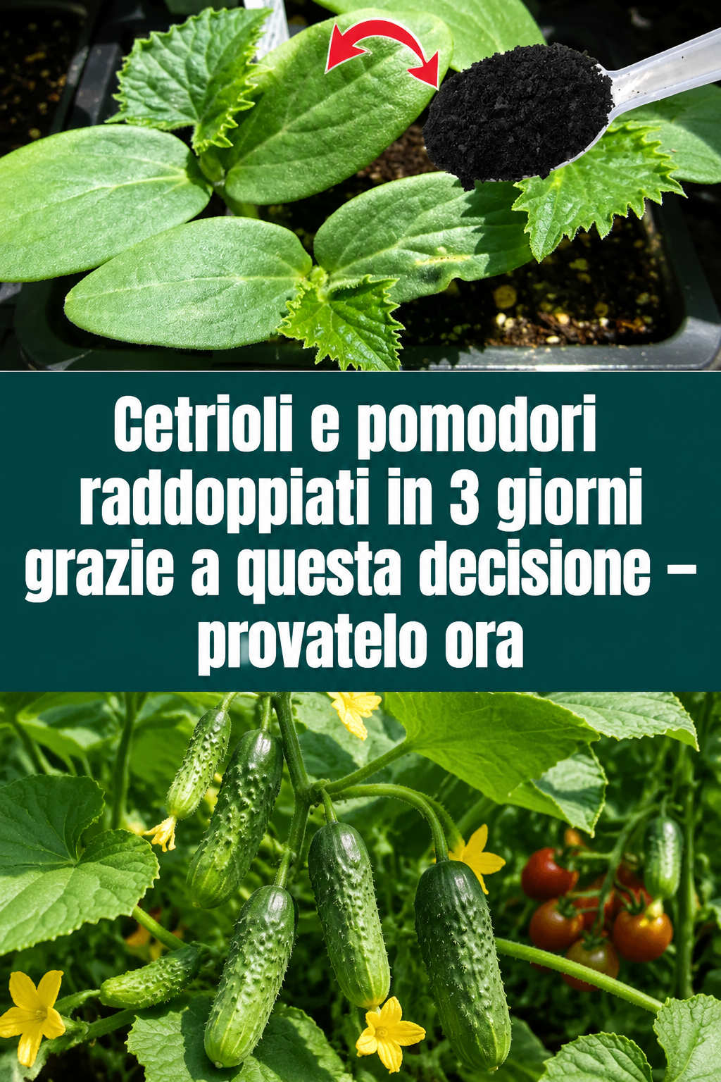 Cetrioli e pomodori raddoppiati in 3 giorni grazie a questa decisione – provatelo ora