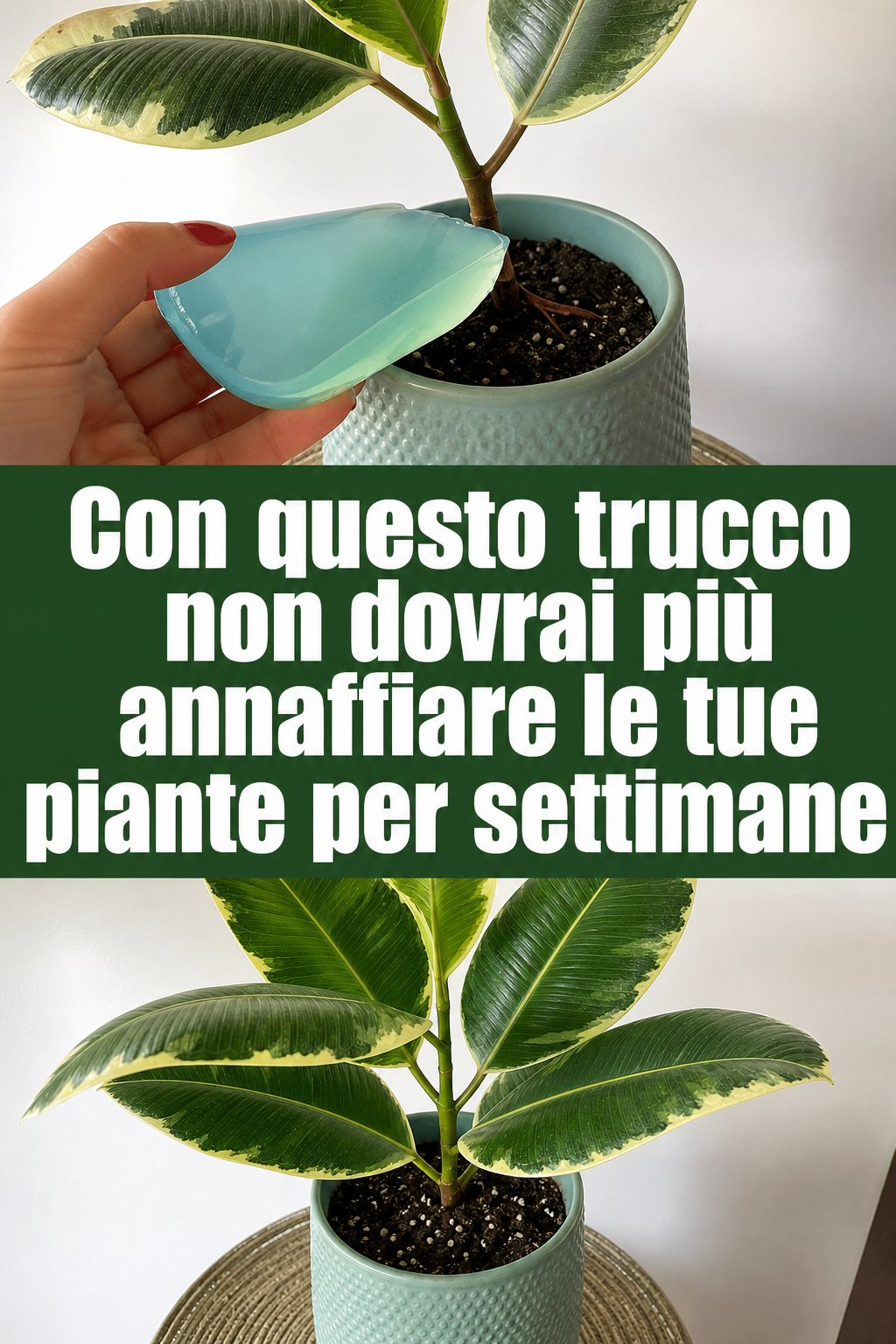 Con questo trucco non dovrai più annaffiare le tue piante per settimane