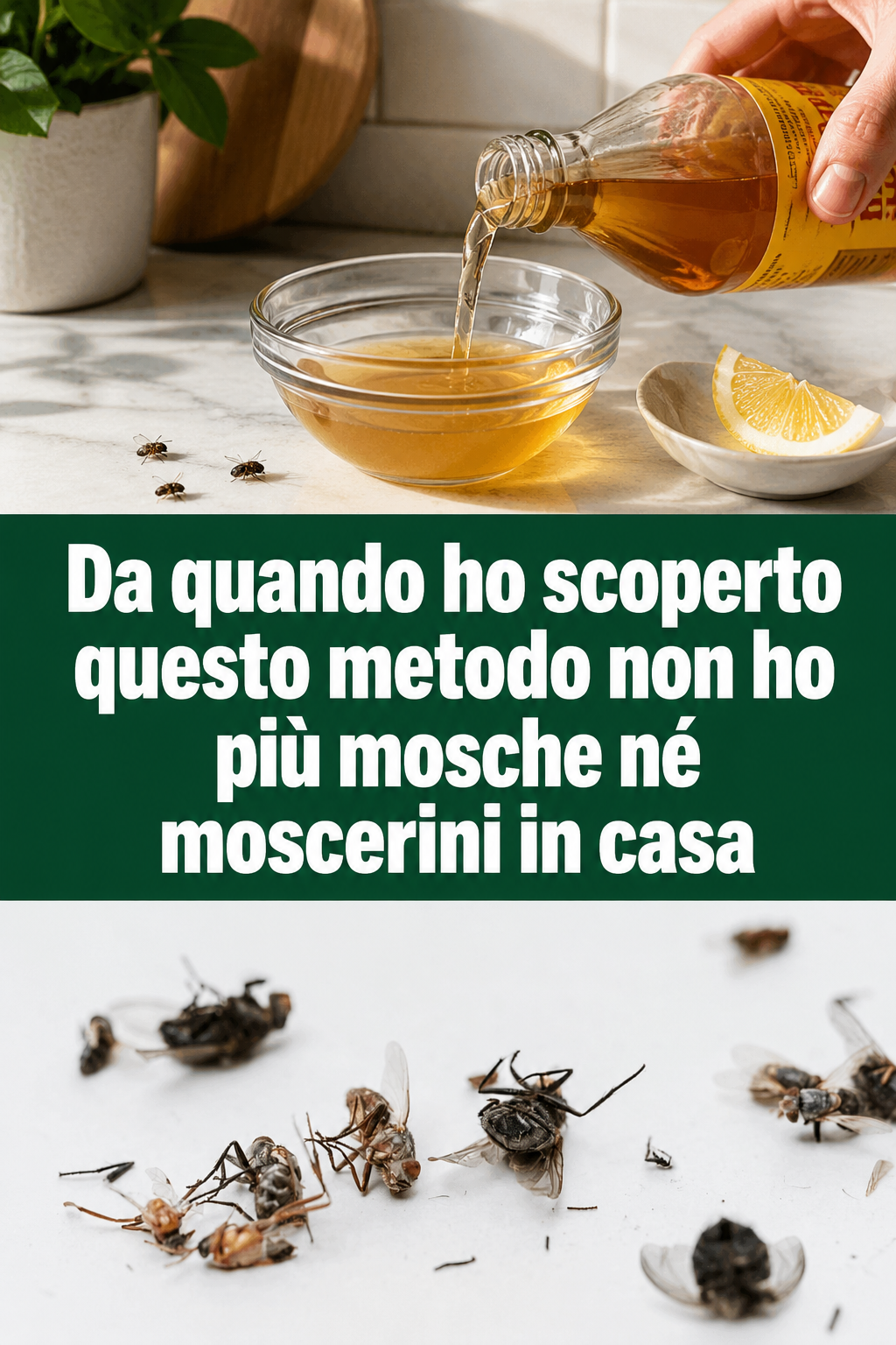Da quando ho scoperto questo metodo non ho più mosche né moscerini in casa