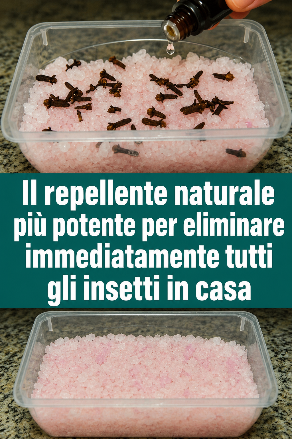 Il repellente naturale più potente per eliminare immediatamente tutti gli insetti in casa