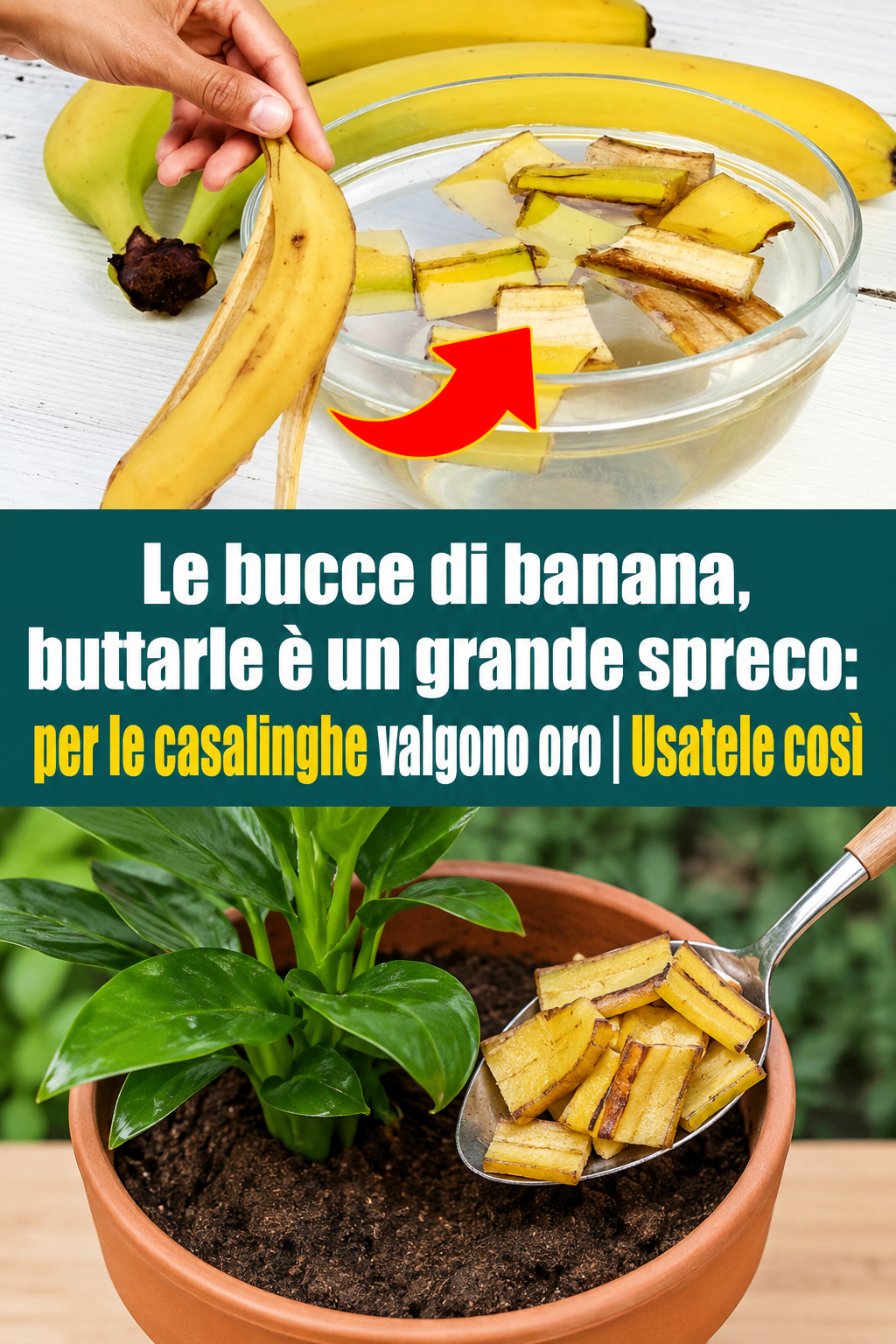Le bucce di banana, buttarle è un grande spreco: per le casalinghe valgono oro | Usatele così