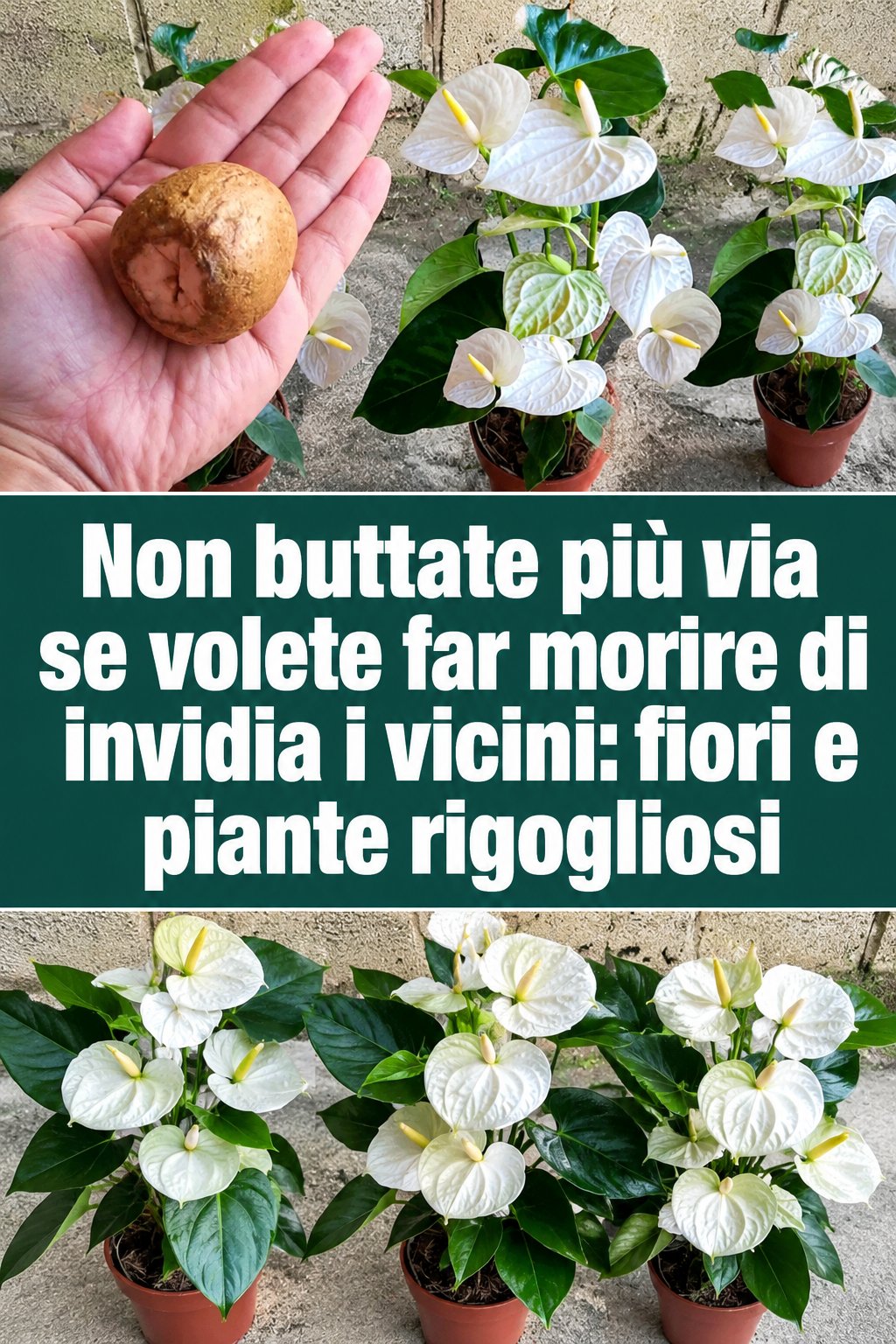 Non buttate più via se volete far morire di invidia i vicini: fiori e piante rigogliosi