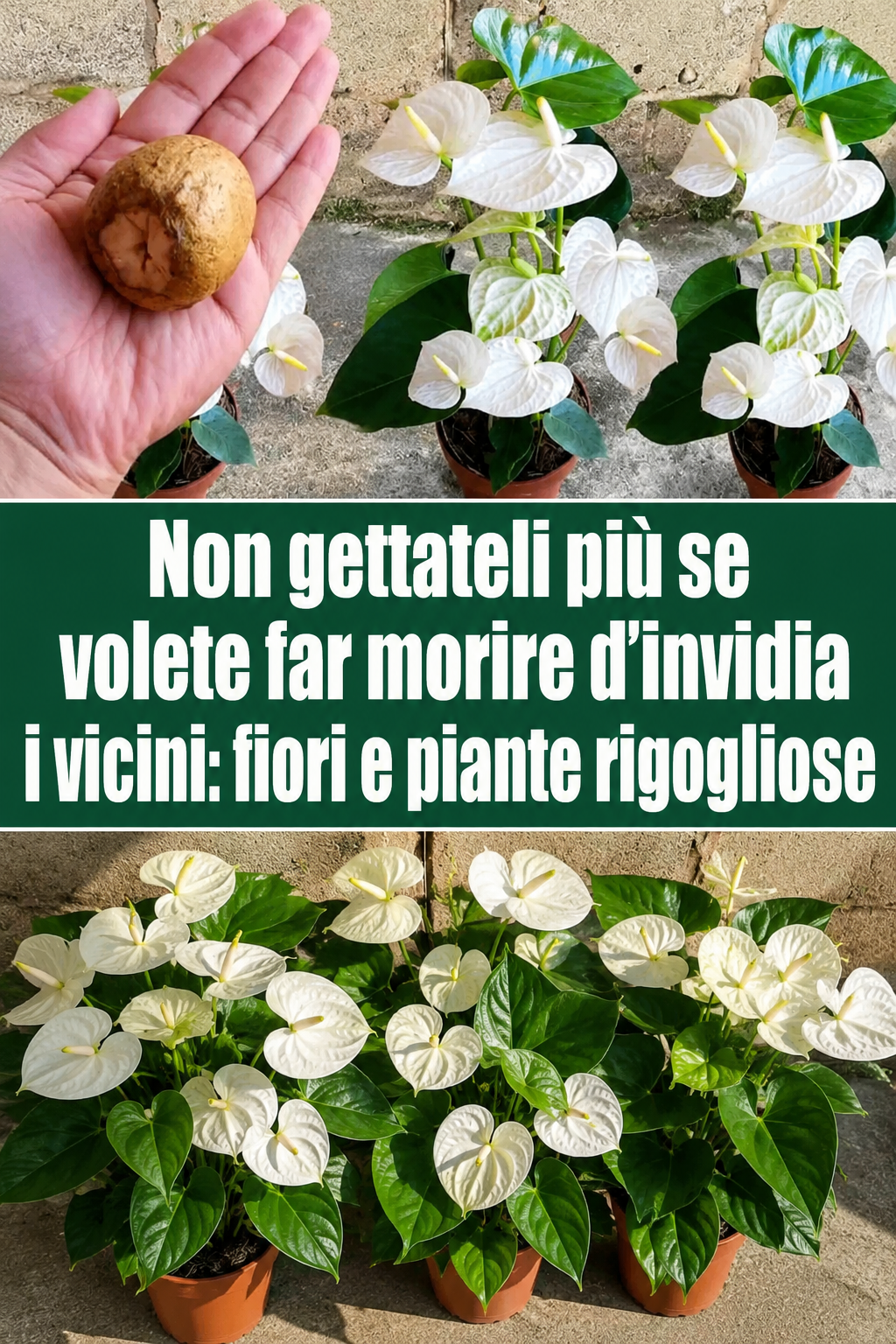 Non gettateli più se volete far morire d’invidia i vicini: fiori e piante rigogliose