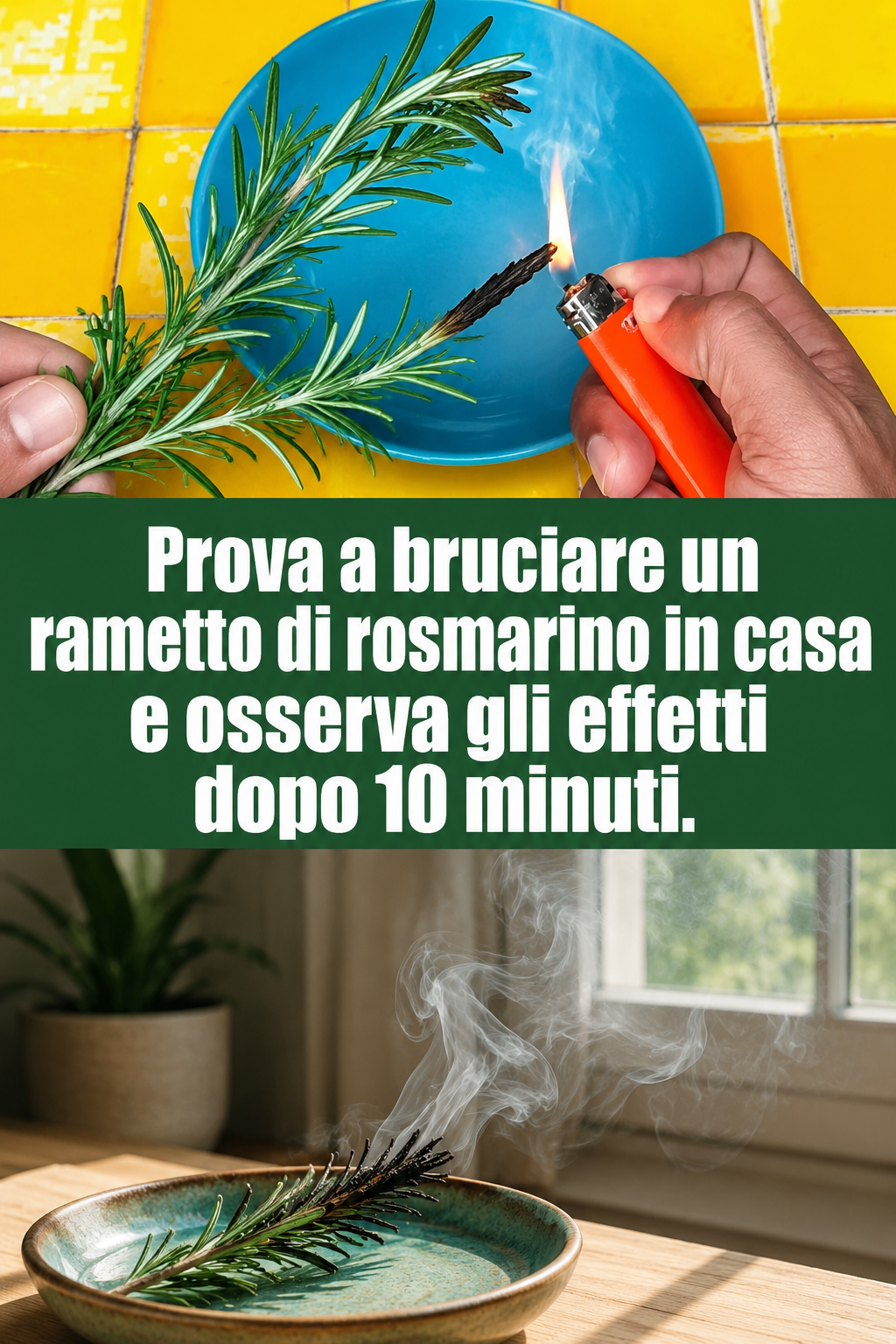 Prova a bruciare un rametto di rosmarino in casa e osserva gli effetti dopo 10 minuti.