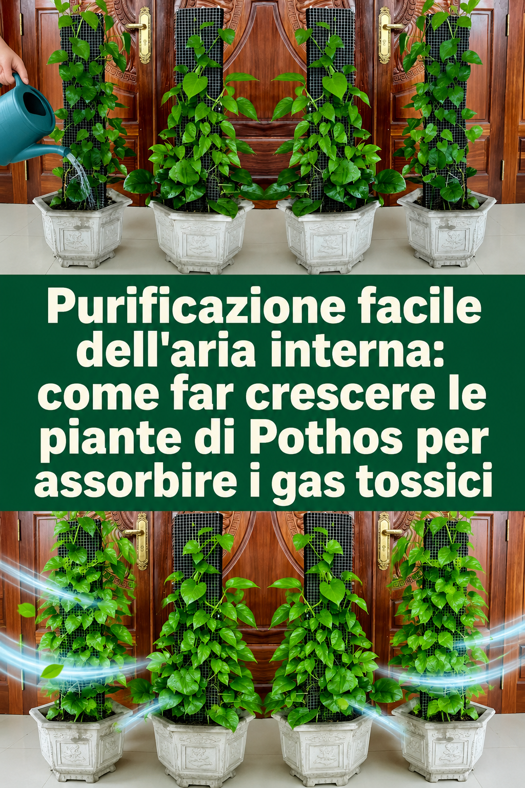 Purificazione facile dell’aria interna: come far crescere le piante di Pothos per assorbire i gas tossici
