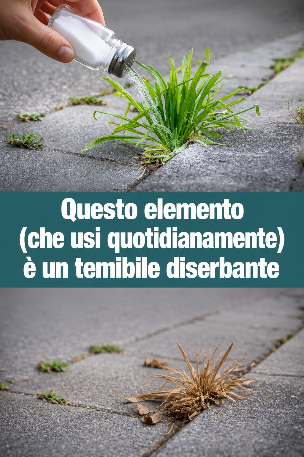 Questo elemento (che usi quotidianamente) è un temibile diserbante