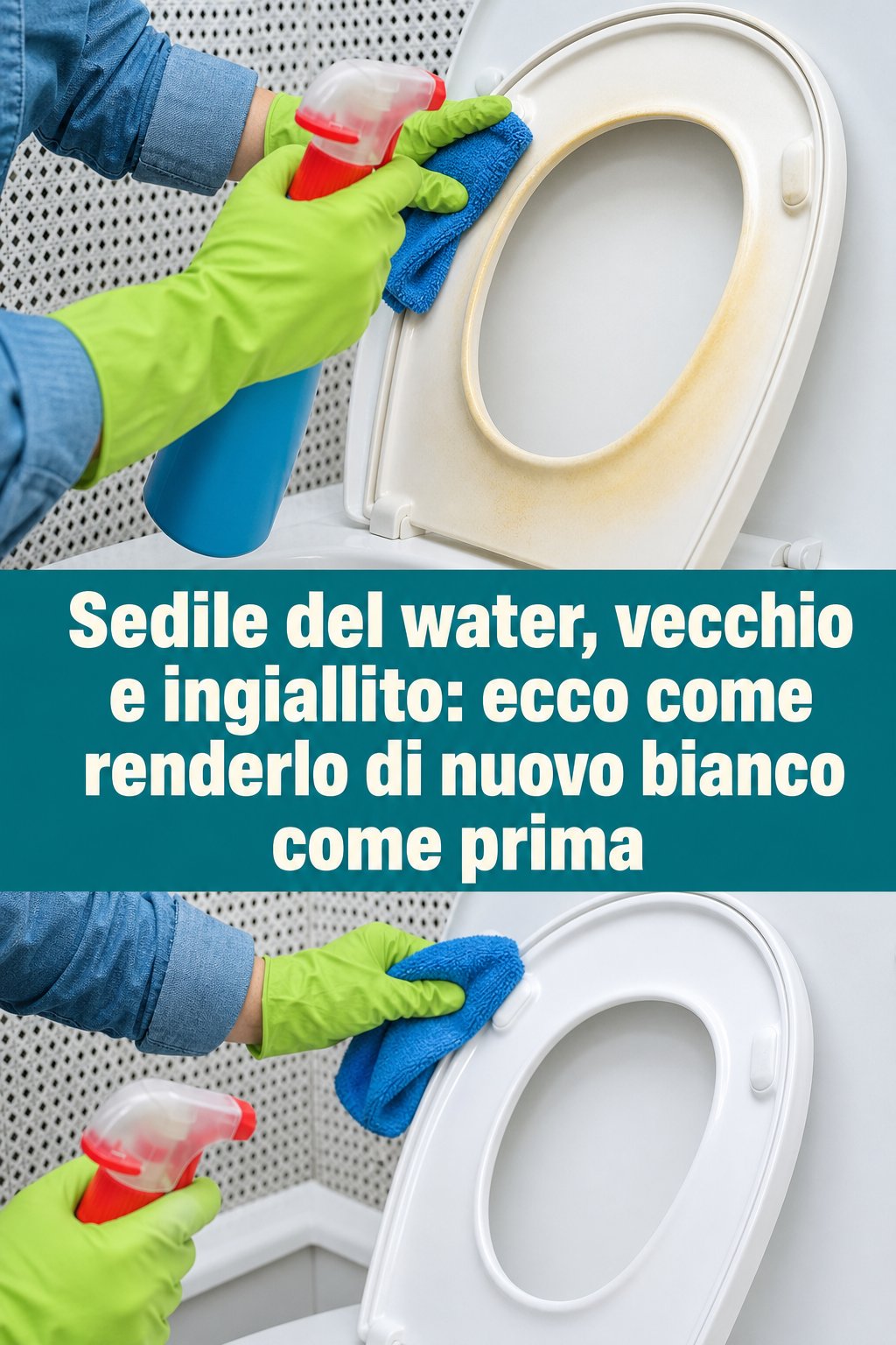 Sedile del water, vecchio e ingiallito: ecco come renderlo di nuovo bianco come prima