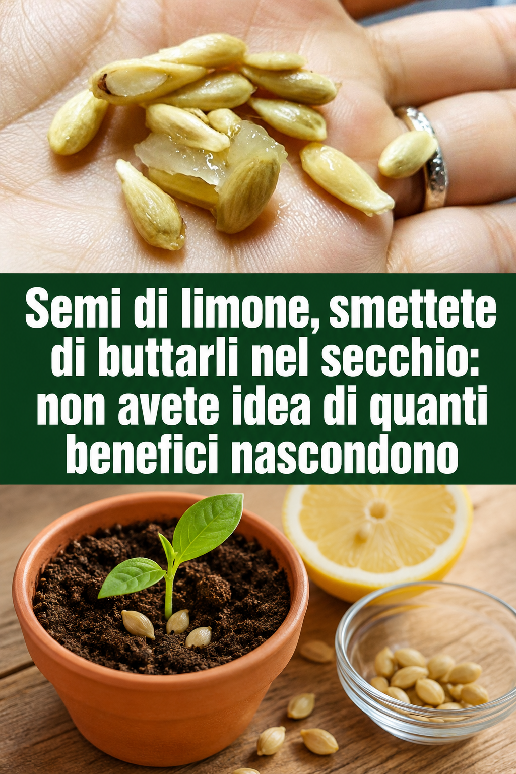 Semi di limone, smettete di buttarli nel secchio: non avete idea di quanti benefici nascondono