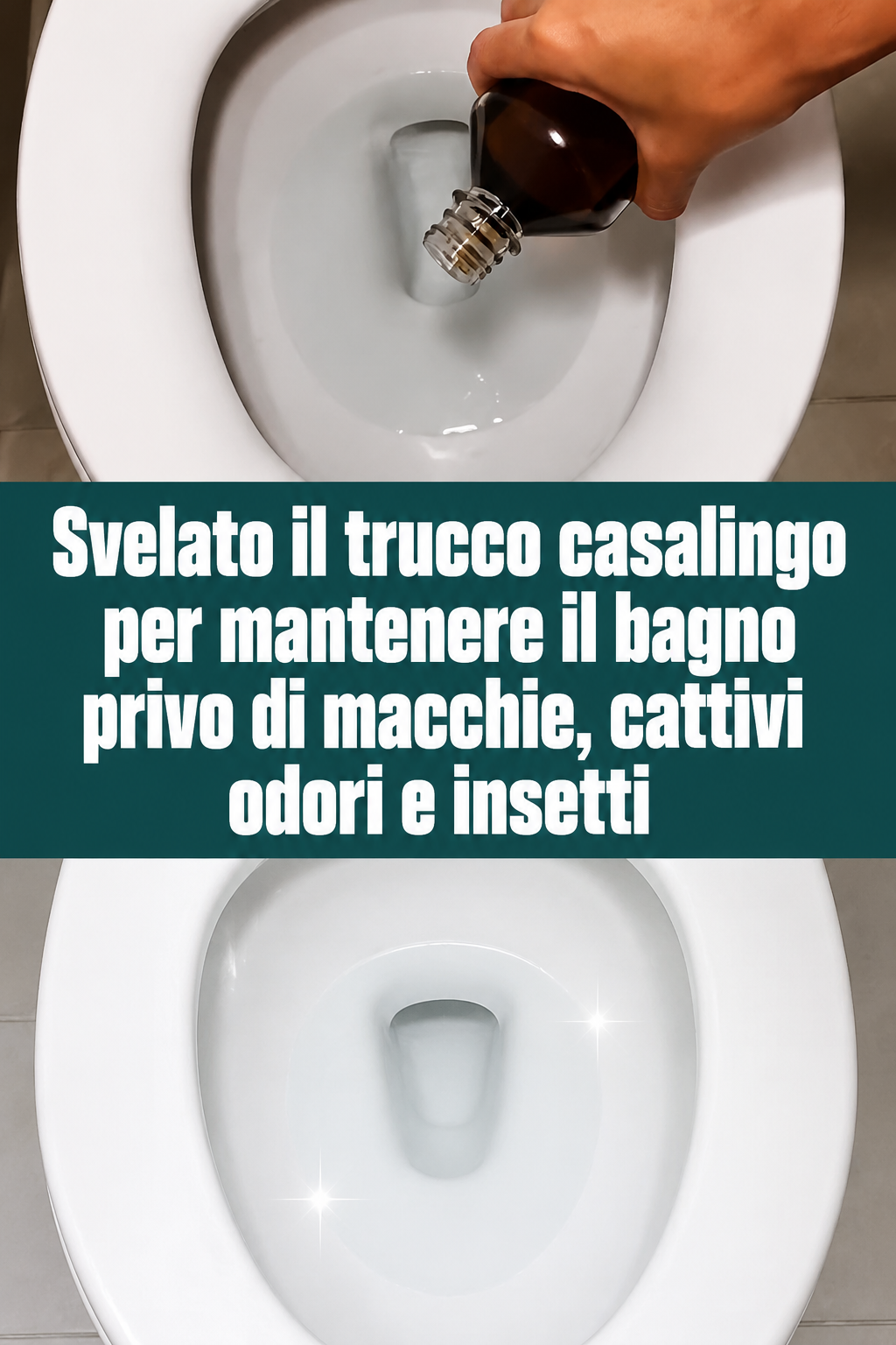 Svelato il trucco casalingo per mantenere il bagno privo di macchie, cattivi odori e insetti