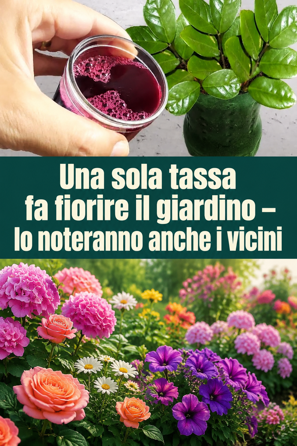 Una sola tassa fa fiorire il giardino – lo noteranno anche i vicini