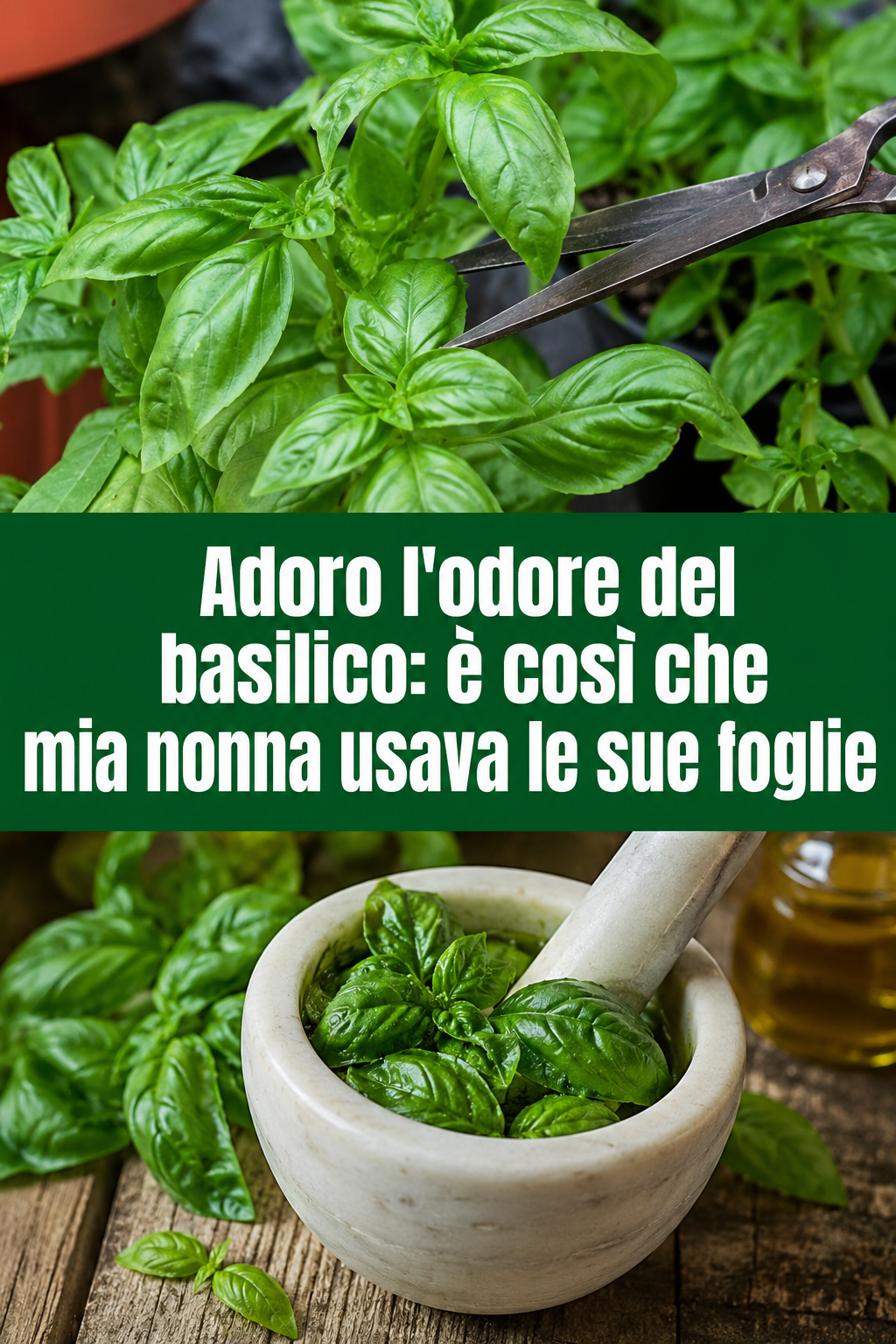 Adoro l’odore del basilico: è così che mia nonna usava le sue foglie