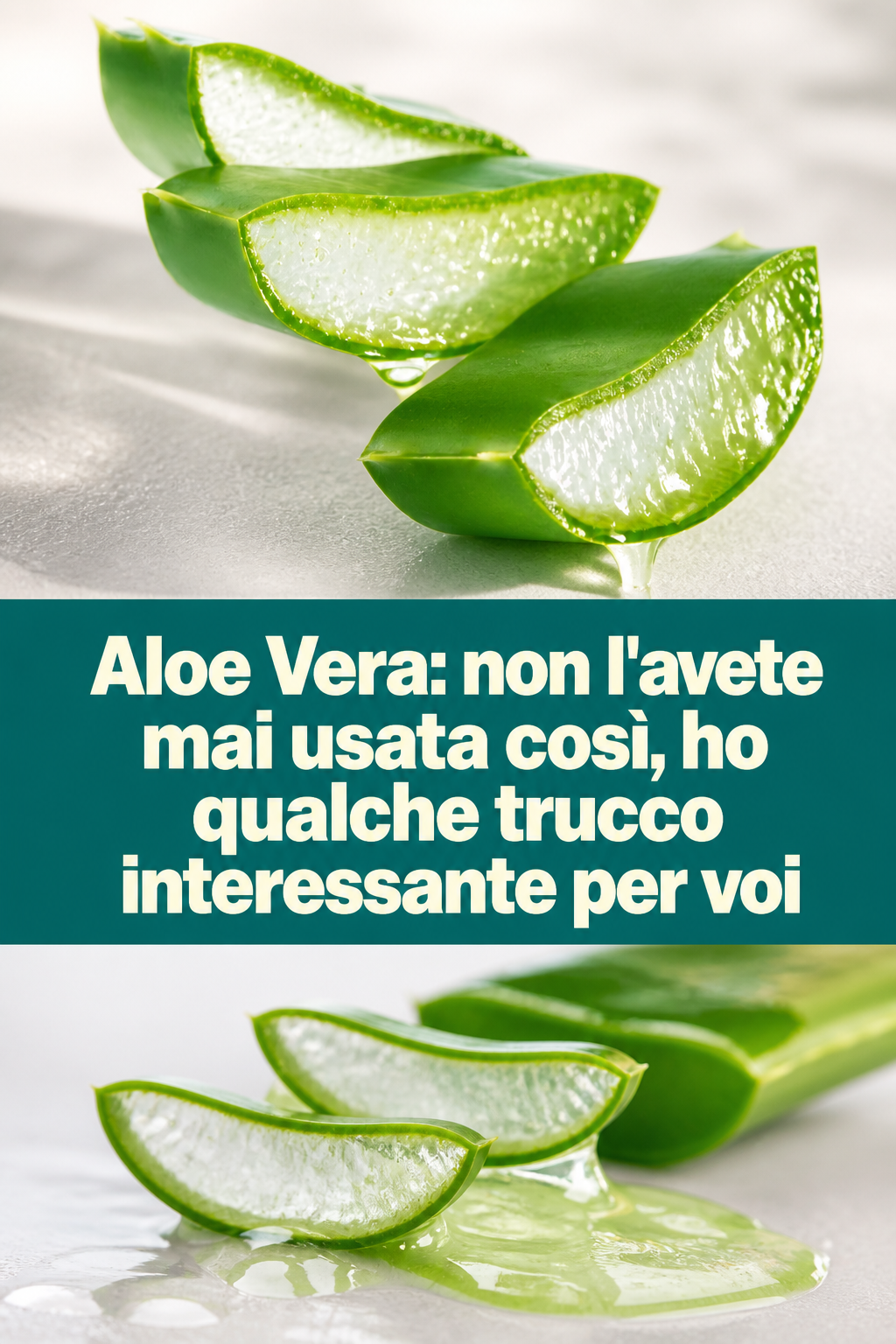 Aloe Vera: non l’avete mai usata così, ho qualche trucco interessante per voi