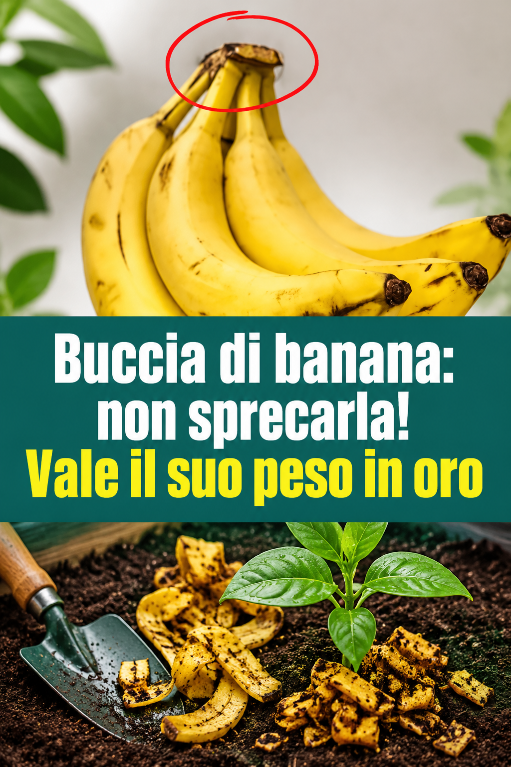 Buccia di banana: non sprecarla! Vale il suo peso in oro