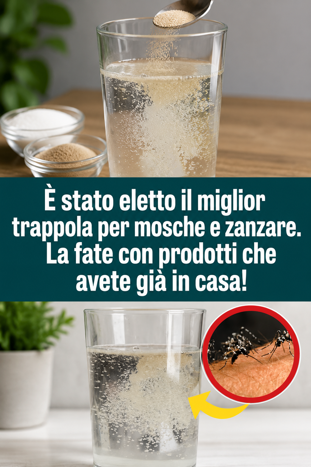 È stato eletto il miglior trappola per mosche e zanzare. La fate con prodotti che avete già in casa!