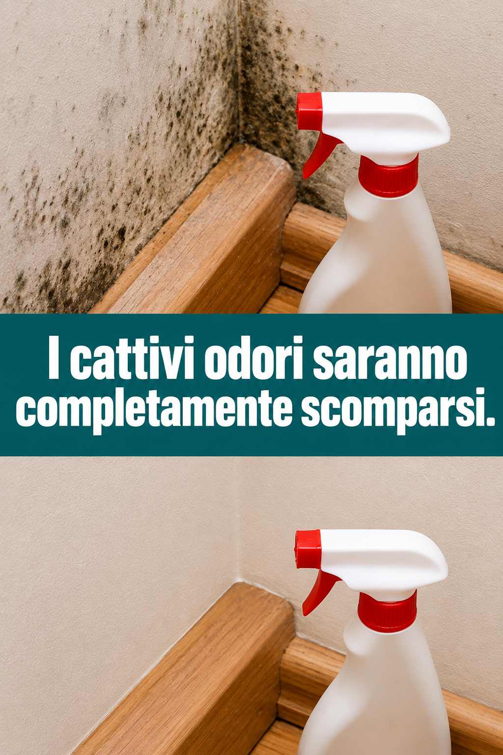 I cattivi odori saranno completamente scomparsi.