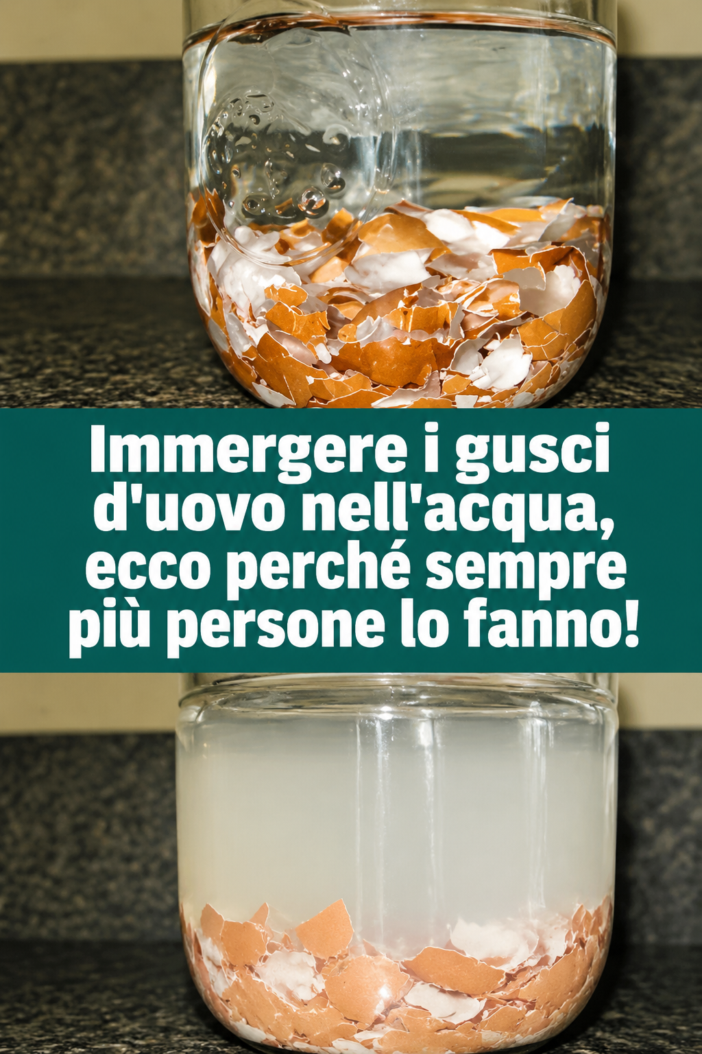 Immergere i gusci d’uovo nell’acqua, ecco perché sempre più persone lo fanno!