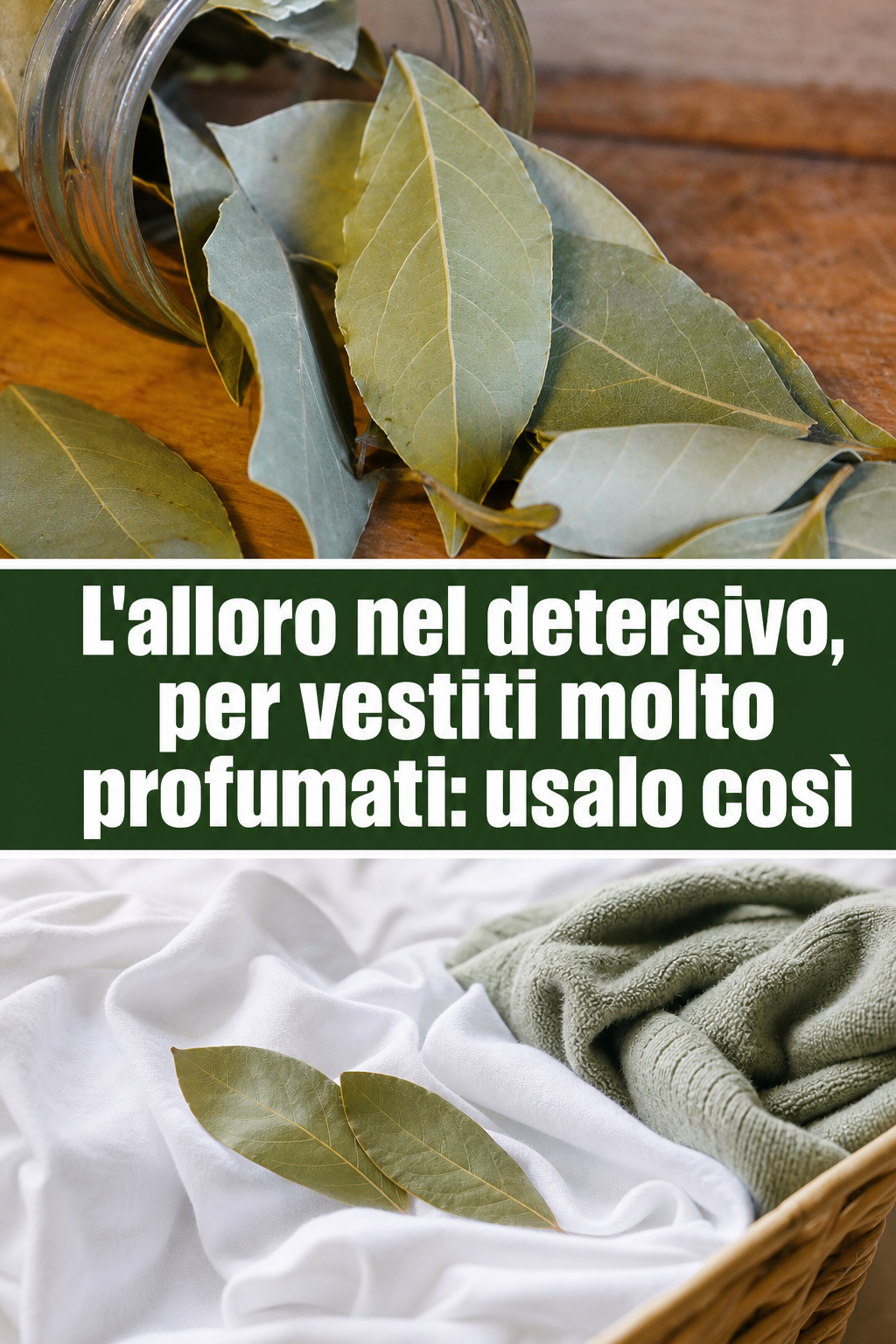 L’alloro nel detersivo, per vestiti molto profumati: usalo così