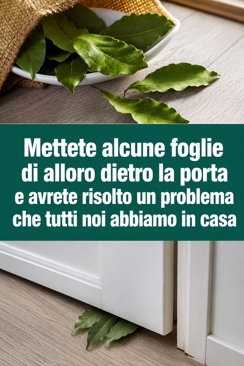 Mettete alcune foglie di alloro 🍃 dietro la porta e avrete risolto un problema che tutti noi abbiamo in casa