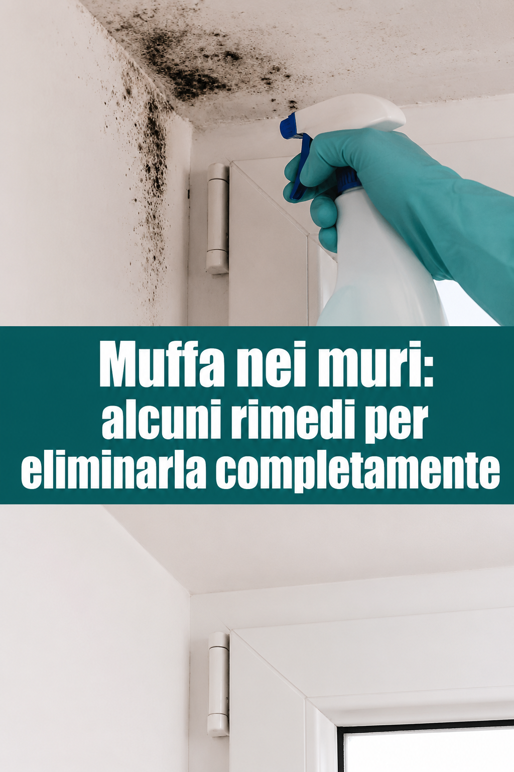 Muffa nei muri: alcuni rimedi per eliminarla completamente