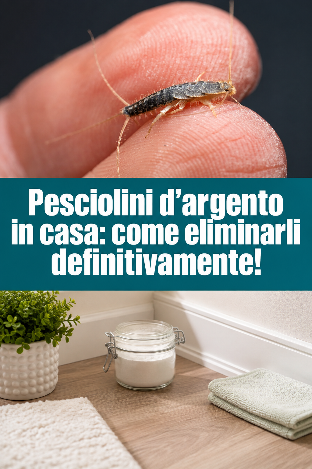 Pesciolini d’argento in casa: come eliminarli definitivamente!