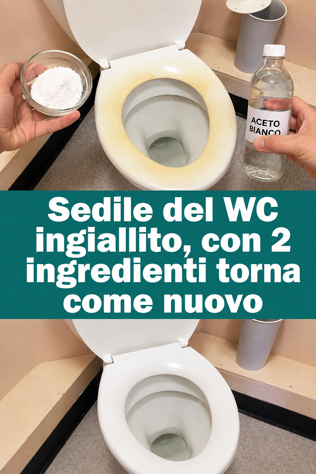 Sedile del WC ingiallito, con 2 ingredienti torna come nuovo